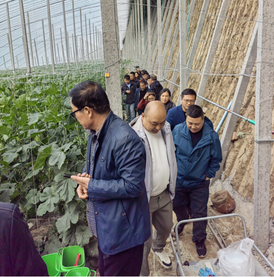 賦能農業合作社，護航舌尖安全——贊華集團助力許昌建安區農產品質量提升培訓項目圓滿結班
